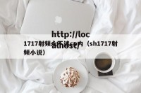 1717射频永不迷cp内（sh1717射频小说）